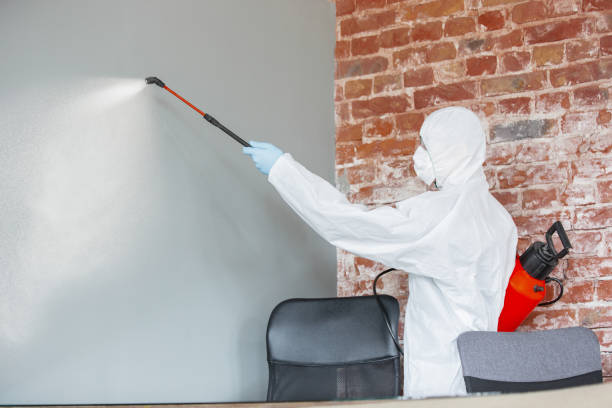 Best Comprehensive Air Testing for Mold Contaminants  in Poquonock Bridge, CT