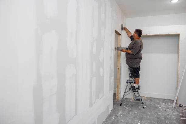 Best Attic Mold Removal  in Poquonock Bridge, CT